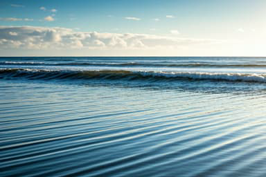 Finding Stillness in Motion